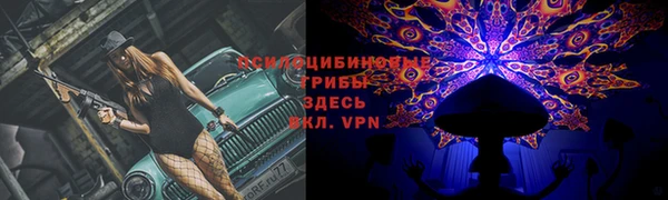 мяу мяу мука Аркадак