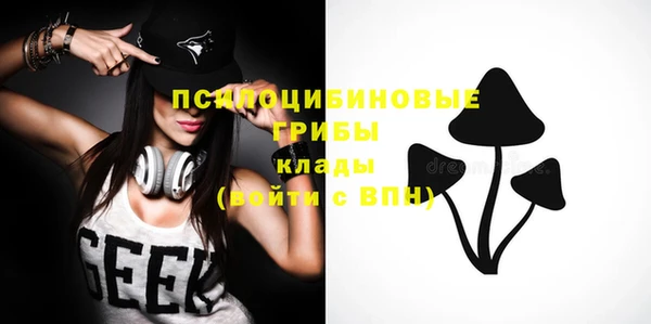 стафф Армянск