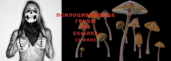 стафф Армянск